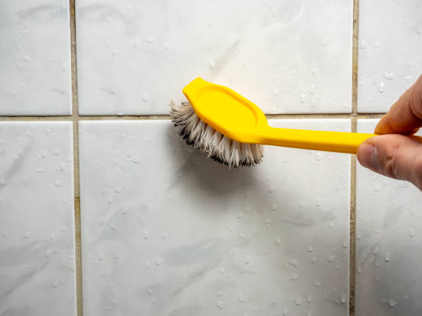 Best Mold Removal and Inspection  in Madison, OH