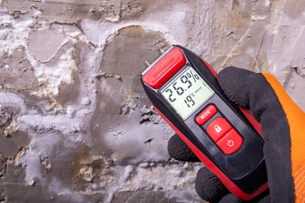 Mold Removal and Inspection in Madison, OH
