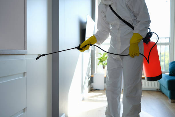 Best Certified Mold Removal  in Madison, OH