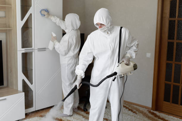 Certified Mold Removal in Madison, OH