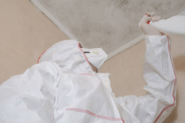 Best Residential Mold Removal  in Madison, OH